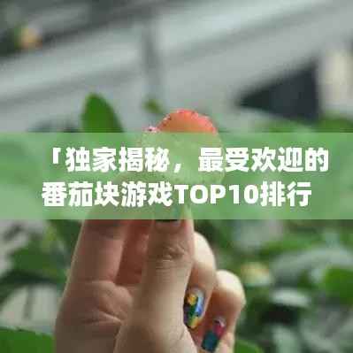 「独家揭秘，最受欢迎的番茄块游戏TOP10排行榜，一网打尽游戏排行资讯！」