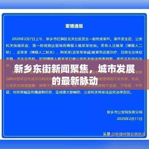 新乡东街新闻聚焦,城市发展的最新脉动