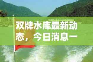 双牌水库最新动态,今日消息一网打尽