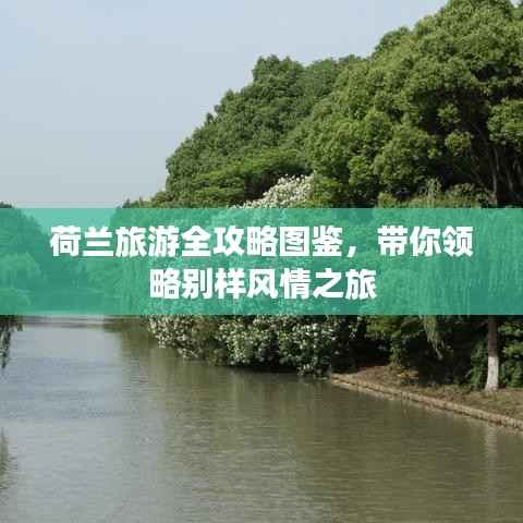 荷兰旅游全攻略图鉴，带你领略别样风情之旅