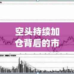 空头持续加仓背后的市场策略与风险洞察