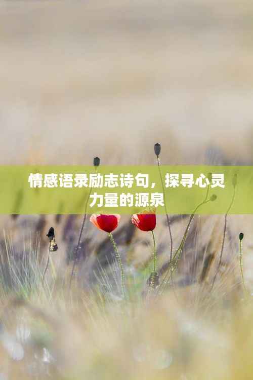 情感语录励志诗句，探寻心灵力量的源泉