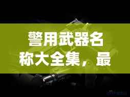 警用武器名称大全集,最新枪支介绍与多样性发展了解