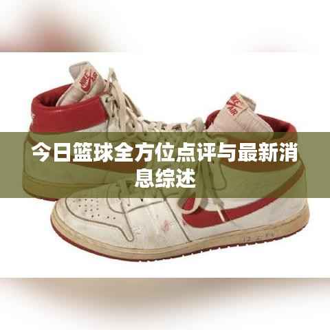 今日篮球全方位点评与最新消息综述