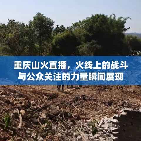 重庆山火直播,火线上的战斗与公众关注的力量瞬间展现