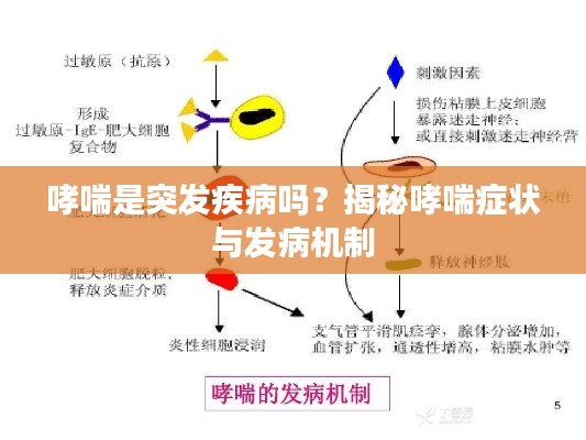 哮喘是突发疾病吗?揭秘哮喘症状与发病机制