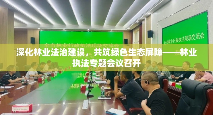 深化林业法治建设,共筑绿色生态屏障——林业执法专题会议召开