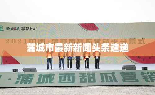 蒲城市最新新闻头条速递