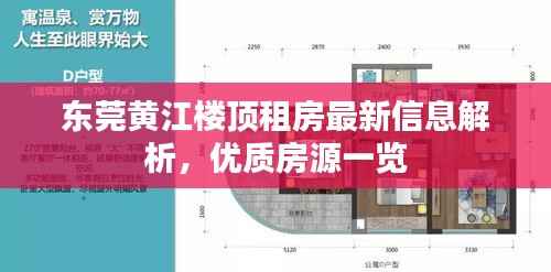 东莞黄江楼顶租房最新信息解析,优质房源一览