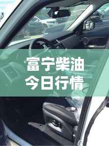 富宁柴油今日行情,最新价格动态!