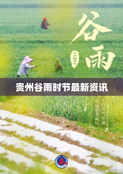 贵州谷雨时节最新资讯