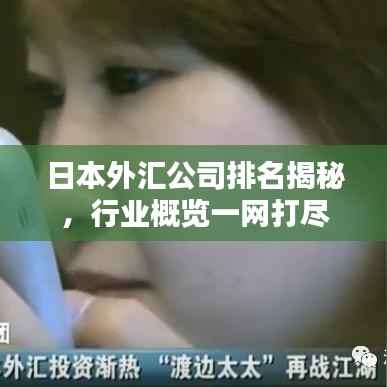 日本外汇公司排名揭秘,行业概览一网打尽