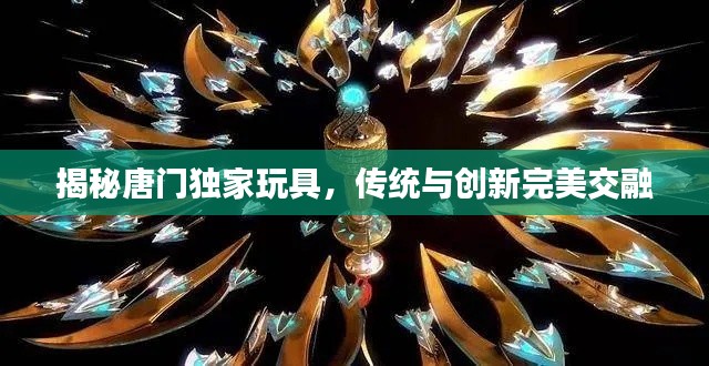 揭秘唐门独家玩具,传统与创新完美交融