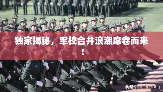 独家揭秘,军校合并浪潮席卷而来!