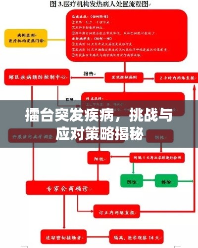 擂台突发疾病,挑战与应对策略揭秘