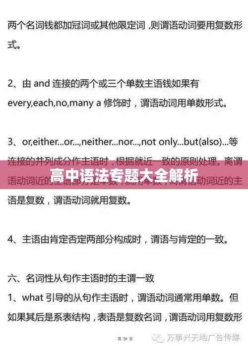 高中语法专题大全解析