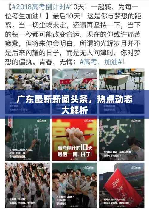 广东最新新闻头条,热点动态大解析