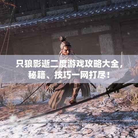 只狼影逝二度游戏攻略大全,秘籍、技巧一网打尽!