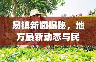 易镇新闻揭秘,地方最新动态与民生热点全掌握