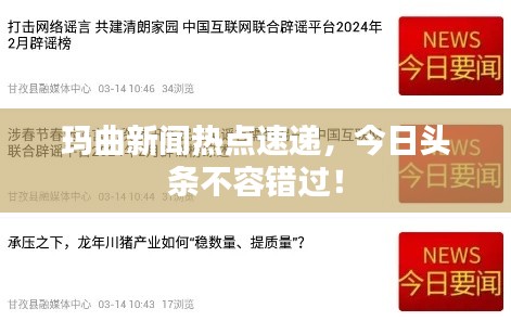 玛曲新闻热点速递，今日头条不容错过！