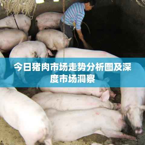 今日猪肉市场走势分析图及深度市场洞察