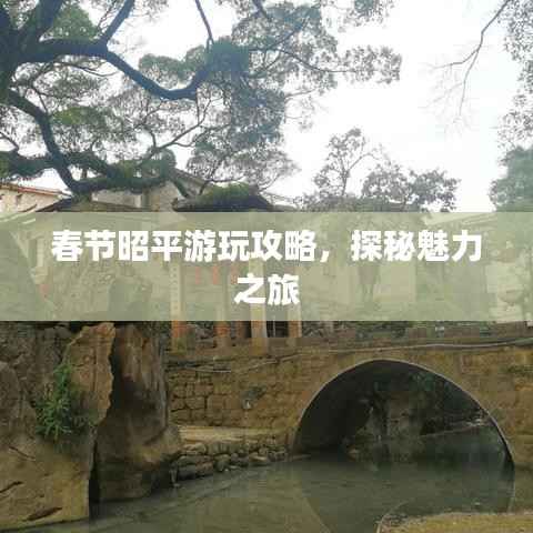 春节昭平游玩攻略,探秘魅力之旅