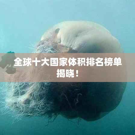 全球十大国家体积排名榜单揭晓!