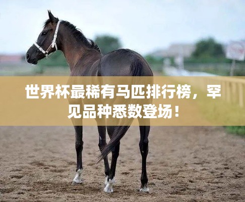世界杯最稀有马匹排行榜,罕见品种悉数登场!