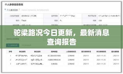 驼梁路况今日更新,最新消息查询报告