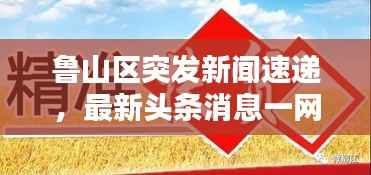 鲁山区突发新闻速递,最新头条消息一网打尽