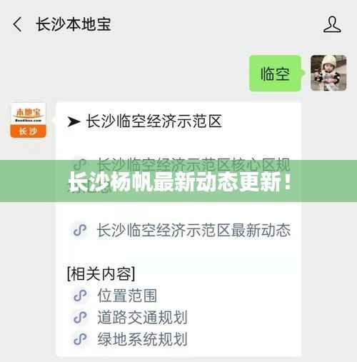 长沙杨帆最新动态更新!
