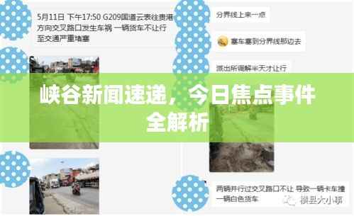 峡谷新闻速递,今日焦点事件全解析