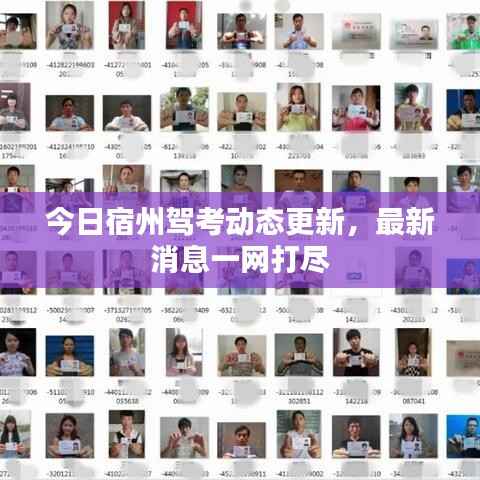 今日宿州驾考动态更新,最新消息一网打尽