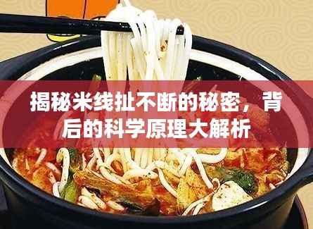 揭秘米线扯不断的秘密,背后的科学原理大解析