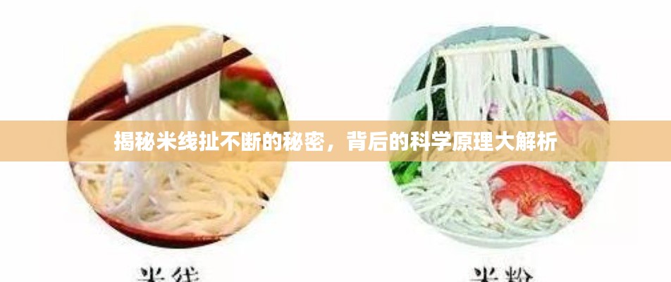 揭秘米线扯不断的秘密,背后的科学原理大解析