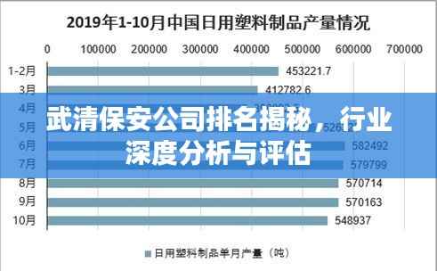 武清保安公司排名揭秘，行业深度分析与评估