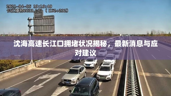 沈海高速长江口拥堵状况揭秘,最新消息与应对建议
