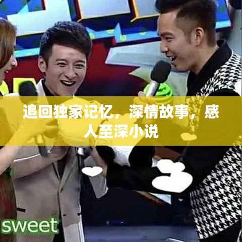 追回独家记忆,深情故事,感人至深小说