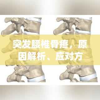 突发腰椎骨疼,原因解析、应对方法与预防措施