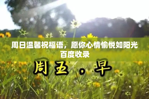 周日温馨祝福语,愿你心情愉悦如阳光百度收录