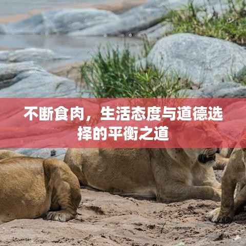 不断食肉,生活态度与道德选择的平衡之道
