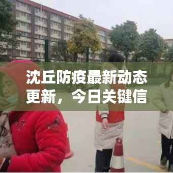 沈丘防疫最新动态更新,今日关键信息一网打尽