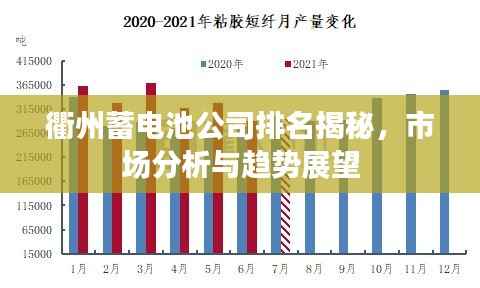 衢州蓄电池公司排名揭秘,市场分析与趋势展望