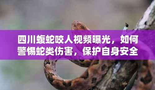 四川蝮蛇咬人视频曝光，如何警惕蛇类伤害，保护自身安全