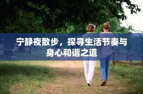 宁静夜散步,探寻生活节奏与身心和谐之道