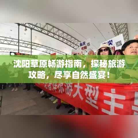 沈阳草原畅游指南,探秘旅游攻略,尽享自然盛宴!