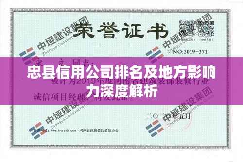 忠县信用公司排名及地方影响力深度解析