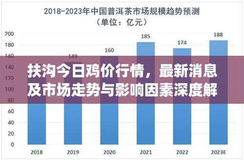 扶沟今日鸡价行情,最新消息及市场走势与影响因素深度解析
