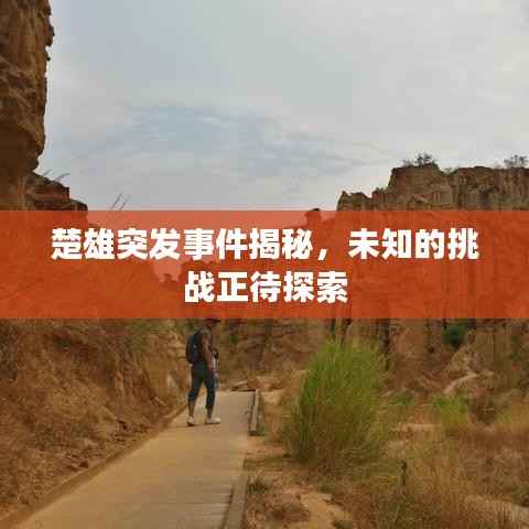 楚雄突发事件揭秘,未知的挑战正待探索
