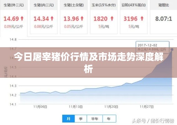 今日屠宰猪价行情及市场走势深度解析